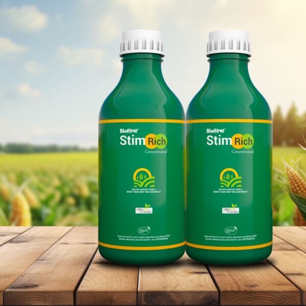 Stim Rich Concentrate  250