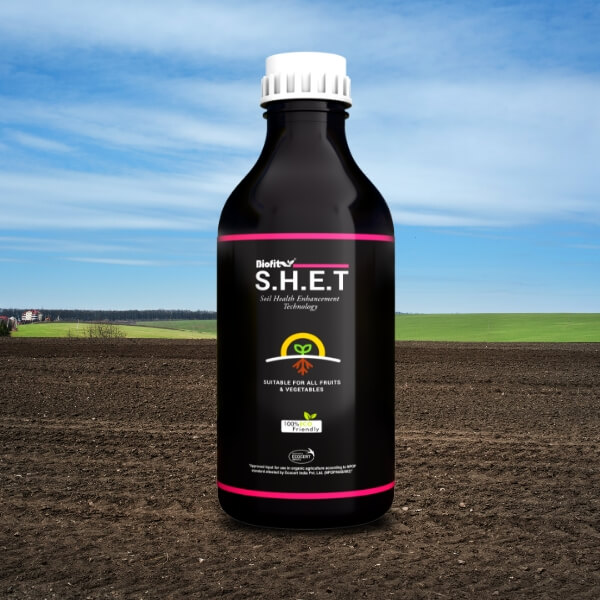 S.H.E.T 500