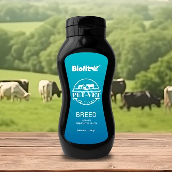  Petvet Breed