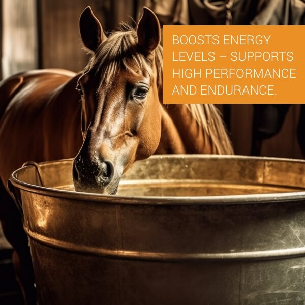  Petvet Advanced Feed Supplement 250 Gm