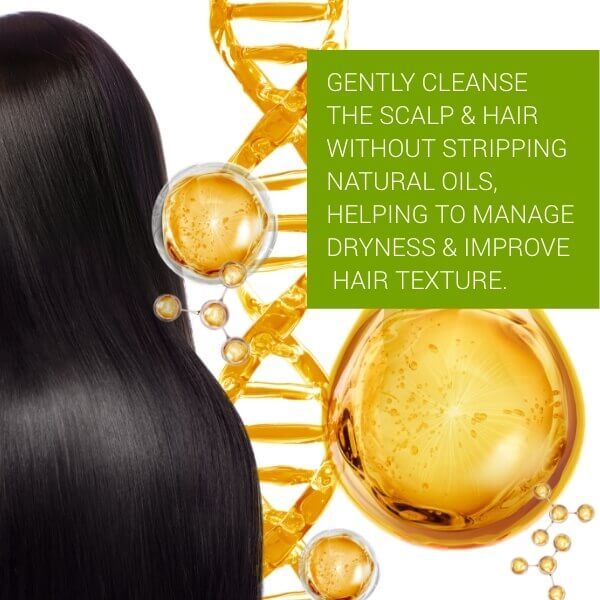 Scalp Renaissance Hydraboost Conditioner