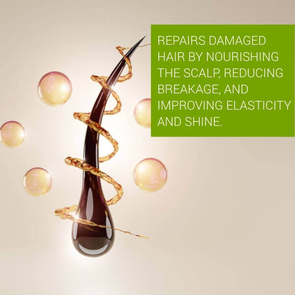 Scalp Renaissance Anti Hair Fall Shampoo
