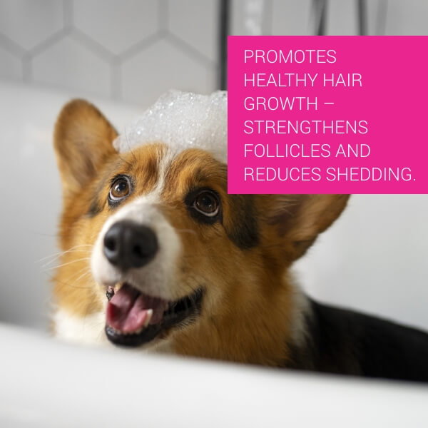  Pet Vet Shampoo