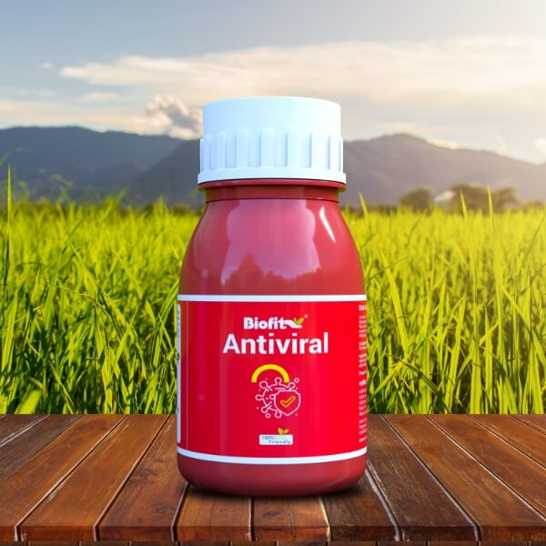  Antiviral