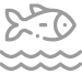 icon3