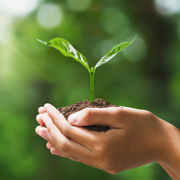 display-biofit-plant-growth