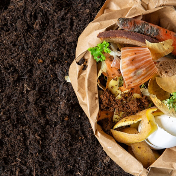 display-biofit-waste