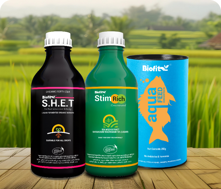 display-biofit
