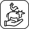 how-to-consume-icon2