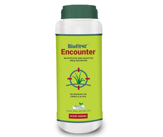 Encounter New 1 Ltr