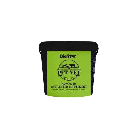  Petvet Advanced Feed Supplement 250 Gm