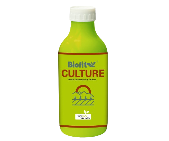  Culture