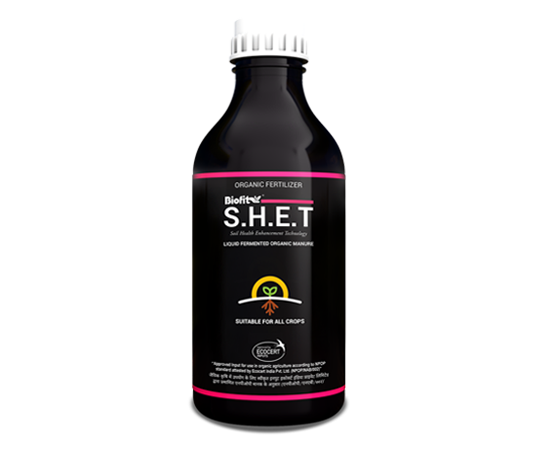 S.H.E.T 500
